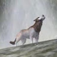 Chirranir