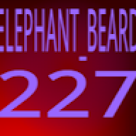elephant_beard227