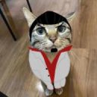 piwibi
