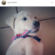 Gabo_1457