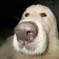 xavilooooo
