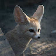 Lynther