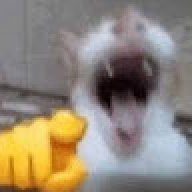DexterM0rgan