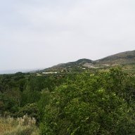 Manzanetti