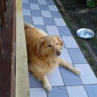 Zeiccia