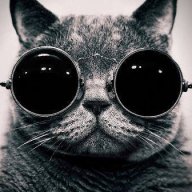 MeowMeowSwswsw