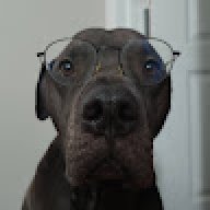 Oddcookie