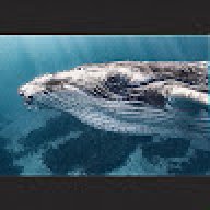Elecwhale