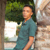 windson_vit