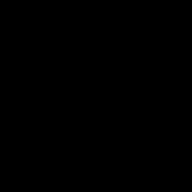 Zenyk