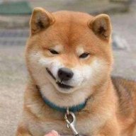 xiaoxingxing