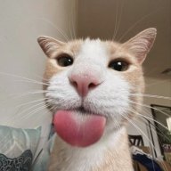 SugarPuffDemon