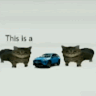 tabbibap