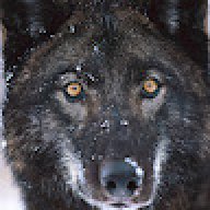 Alastor_adamas