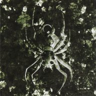 Apocrypha