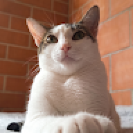 Eysenckbr