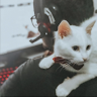 XQUEEZY