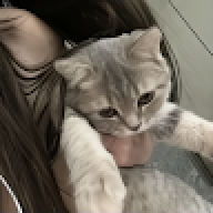 qhonk