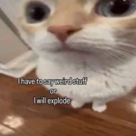 Randomaali