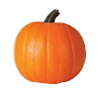 Skroop
