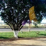yancon234