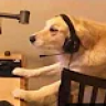 CooingMaxito