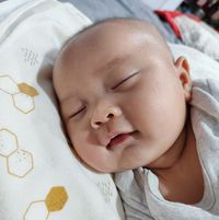 onee_san | GBAtemp.net - The Independent Video Game Community