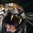 tyger