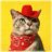 Sheriff Cat