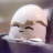 W4lker