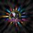 shadic_el curiosos