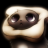 catgroove62913