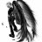 alfred0725