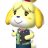 ACNLHacker