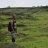 mitesh