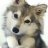 Wolfygirl768