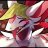 Scalie_Arrombado