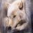 Wolfie103