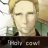 Axleskinen