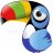 wildtoucan