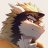 Winddragon24