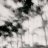 abacotv