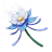 lilyglazed