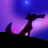 _SpaceCoyote
