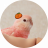 mikansan