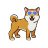 Shiba27