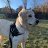 AlexCus