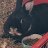 Daniel1991rob