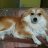 Johnsly_john