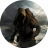 XUR